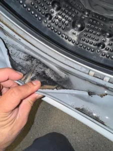 front load washer with door seal that has mold and stain
