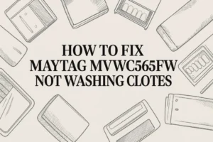 Why your Maytag MVWC565FW Not Washing Clothes